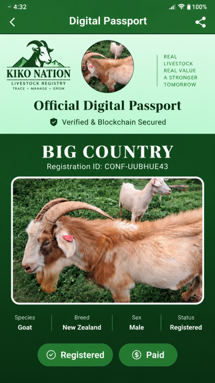 Big Country Digital Livestock Passport™
